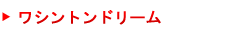 ワシントンドリーム